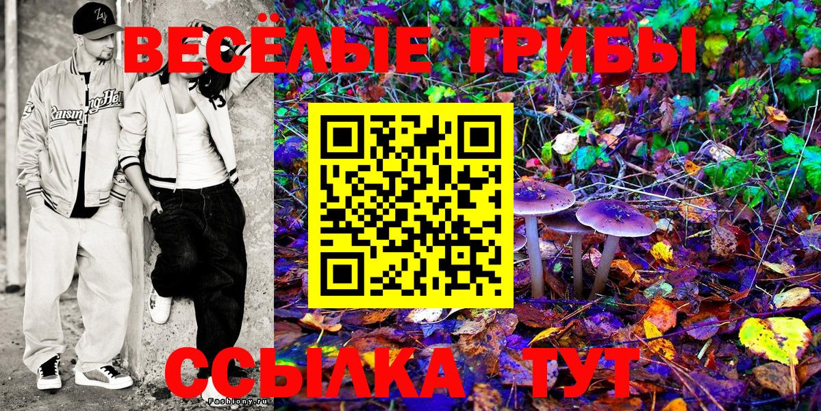 Крымск  Галлюциногенные грибы MAGIC MUSHROOMS  Вход с VPN 
