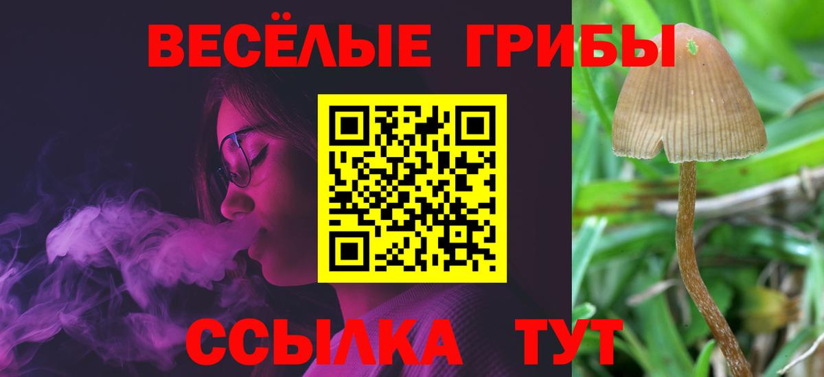 Псилоцибиновые грибы MAGIC MUSHROOMS Крымск